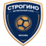 斯特罗吉诺